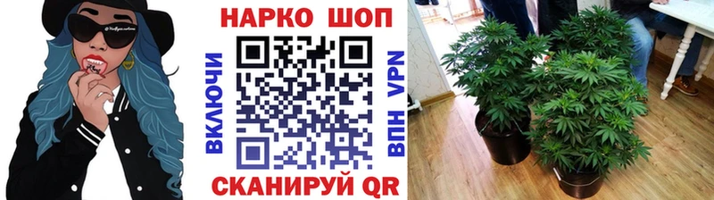 Купить закладку Alpha-PVP Меф ГАШИШ МАРИХУАНА Кокаин Серафимович